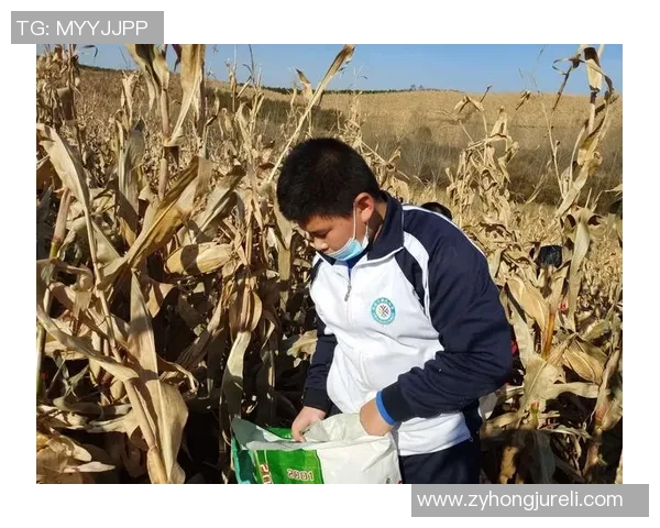 张娜独家揭秘极限运动的乐趣与挑战分享我的亲身体验与心得体会